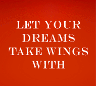 DREAMS COME TRUE WHEN...YOU COME TO NAKUL STUD!