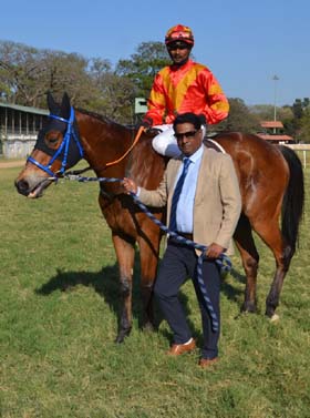 Contributor (Vivek G up) winner of the B.A.NANAIAH MEMORIAL TROPHY, being led in by trainer Bobby M on Thursday races at Mysore.