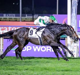 Soul Rush nosing out Romantic Warrior to win the Dubai Turf at Meydan on Saturday.