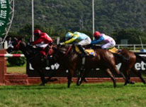 Tehani wins Guineas in absorbing finish
