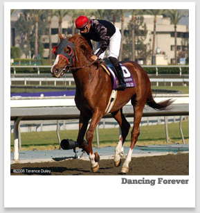 Dancing Forever (Rahy)